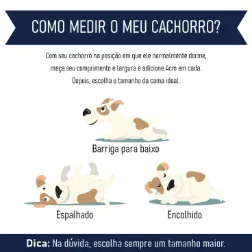 Dicas de como medir o pet